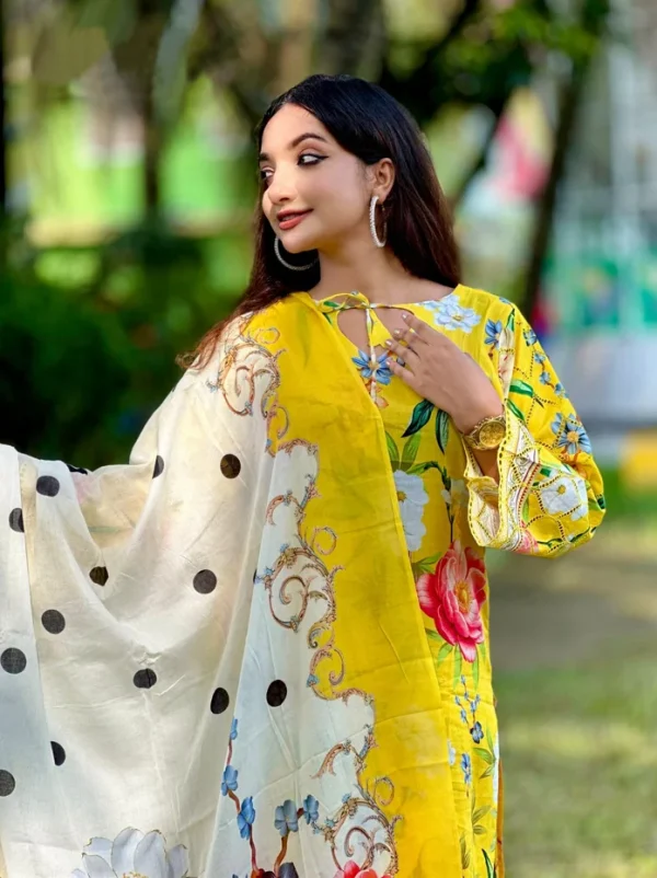 Pakistani Inspired Premium Dress - Image 3